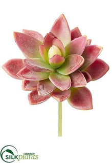 Mini Agave Pick - Purple Green - Pack of 12
