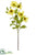 Chinese Hibiscus Spray - Yellow Green - Pack of 12