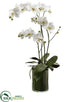 Silk Plants Direct Orchids - White Green - Pack of 1