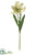 Silk Plants Direct Parrot Tulip Spray - White Green - Pack of 12