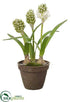 Silk Plants Direct Hyacinth With Bulb - White Green - Pack of 4