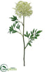 Silk Plants Direct Queen Anne's Lace Spray - White Green - Pack of 12
