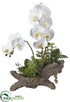 Silk Plants Direct Phalaenopsis Orchid,  Succulent in Cement Log - White Green - Pack of 3