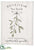 Fresh Cut Mistletoe Wall Decor - White Green - Pack of 6