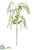 Amaranthus Hanging Spray - White Green - Pack of 12