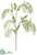Amaranthus Hanging Spray - White Green - Pack of 12