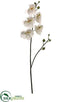 Silk Plants Direct Phalaenopsis Orchid Spray - White Green - Pack of 6
