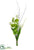 Tulip, Snowball, Twig Bundle - White Green - Pack of 4