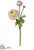 Ranuculus Spray With Bud - Pink Green - Pack of 12