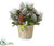 Holly, Berry, Pine Cone, Pine - Brown Green - Pack of 1