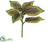 Coleus Leaf Spray - Brown Green - Pack of 12
