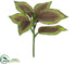 Silk Plants Direct Coleus Leaf Spray - Brown Green - Pack of 12