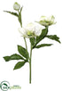 Silk Plants Direct Helleborus Spray - Cream Green - Pack of 12