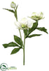 Silk Plants Direct Helleborus Spray - Orchid - Pack of 12