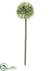 Silk Plants Direct Allium Spray - Cream Green - Pack of 24