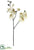 Silk Plants Direct Phalaenopsis Orchid Spray - Cream Green - Pack of 6
