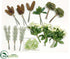 Silk Plants Direct Helleborus, Sedum , Pine Cone in Bag - Cream Green - Pack of 6
