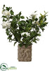 Silk Plants Direct Gardenia - Cream Green - Pack of 1