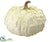 Pumpkin - Cream Green - Pack of 6