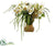 Silk Plants Direct Cymbidium, Sedum Arrangement - Cream Green - Pack of 1