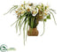 Silk Plants Direct Cymbidium, Sedum Arrangement - Cream Green - Pack of 1