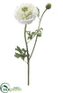 Silk Plants Direct Ranunculus Spray - Cream Green - Pack of 6