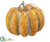 Pumpkin - Orange Green - Pack of 4