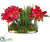 Silk Plants Direct Vanda Orchid - Beauty Green - Pack of 1