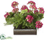 Silk Plants Direct Geranium, Fern - Beauty Green - Pack of 1