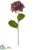 Hydrangea Spray - Burgundy Green - Pack of 12