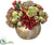 Hydrangea, Echeveria,  Sedum - Burgundy Green - Pack of 1