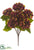 Hydrangea Bush - Burgundy Green - Pack of 12