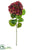 Hydrangea Spray - Burgundy Green - Pack of 12