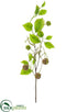 Silk Plants Direct Berry Spray - Burgundy Green - Pack of 12