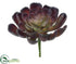 Silk Plants Direct Echeveria Pick - Burgundy Green - Pack of 24
