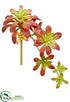 Silk Plants Direct Aeonium Pick - Burgundy Green - Pack of 24
