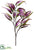 Eucalyptus Leaf Spray - Purple Green - Pack of 12