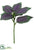 Coleus Leaf Spray - Purple Green - Pack of 12