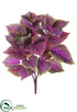 Silk Plants Direct Large Leaf Coleus Bush - Purple Green - Pack of 12