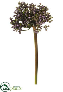 Allium Bud Spray - Lavender Green - Pack of 12