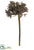 Allium Bud Spray - Lavender Green - Pack of 12