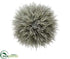 Silk Plants Direct Long Needle Pine Ball Ornament - Gray Green - Pack of 6