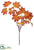 Maple Spray - Orange - Pack of 6