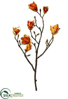 Magnolia Spray - Orange - Pack of 12