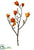 Magnolia Spray - Orange - Pack of 12