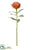 Protea Spray - Orange - Pack of 12