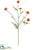 Wild Pompom Spray - Orange - Pack of 24