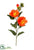 Hibiscus Spray - Orange - Pack of 12