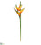 Hawaiian Heliconia Spray - Orange - Pack of 6