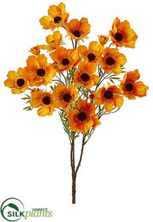 Bush - Orange - Pack of 12